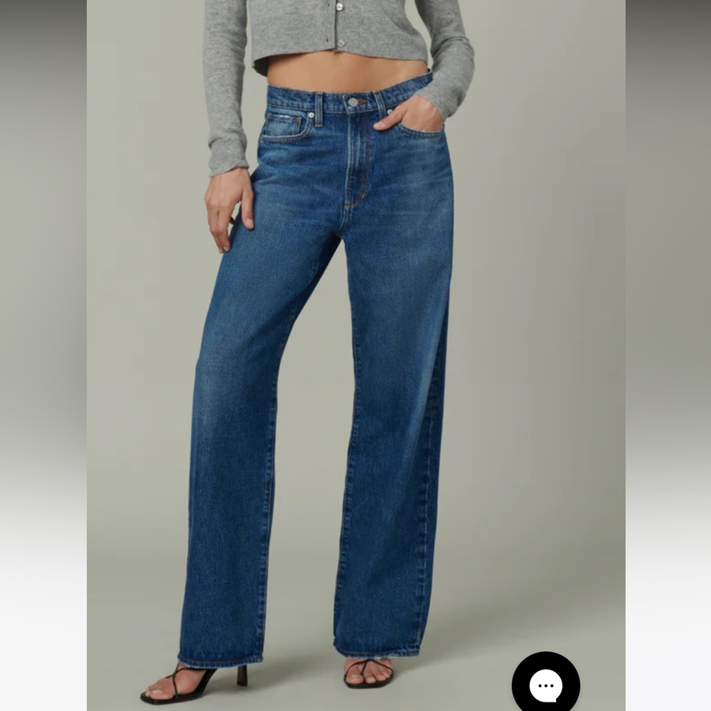 Joes jeans the Ryan low slung baggy
